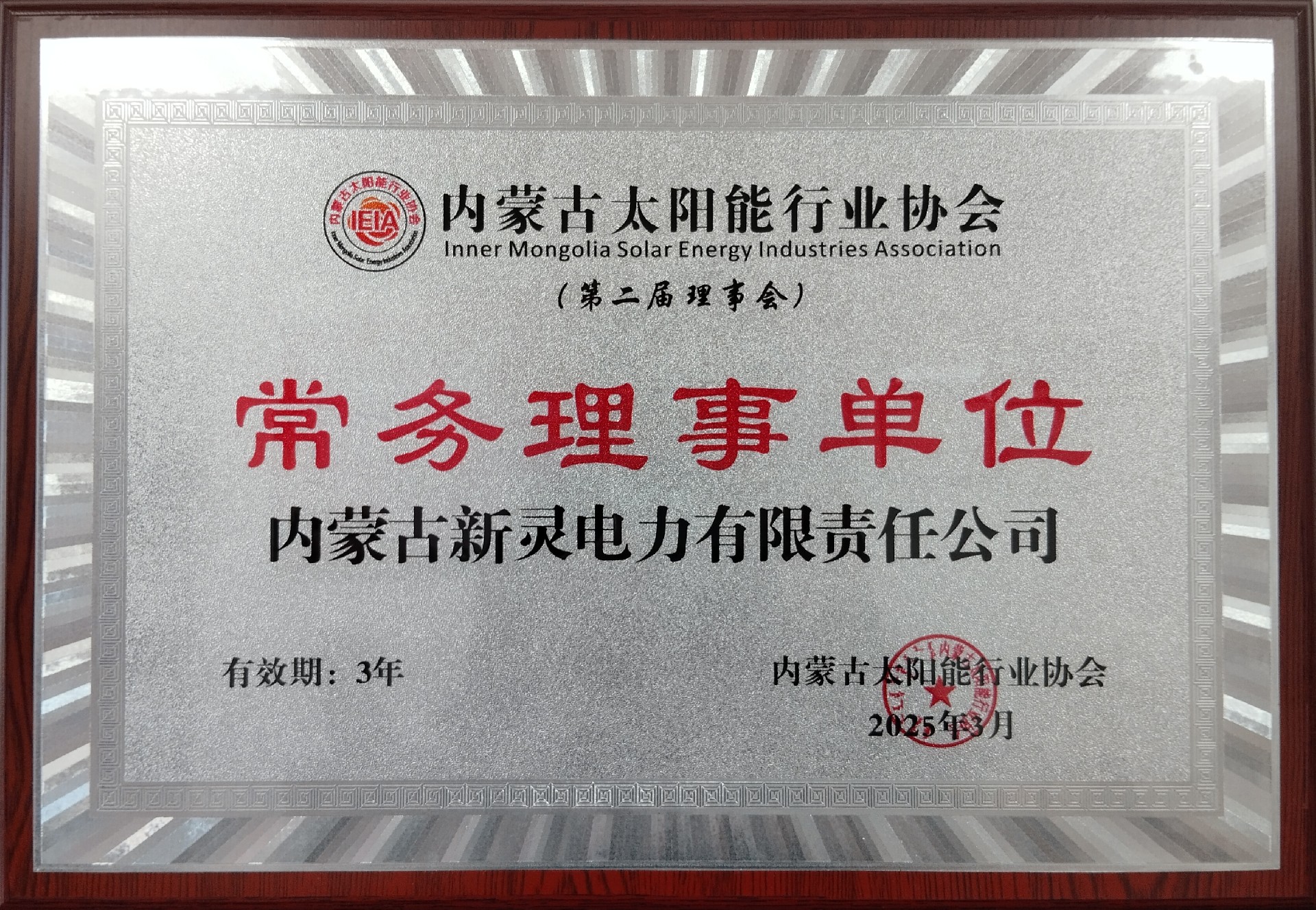 内蒙古新灵电力-常务理事-2025年3月.jpg