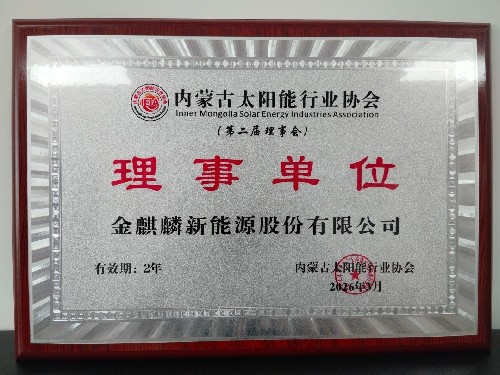 金麒麟新能源股份有限公司