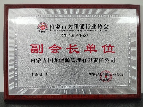 内蒙古国龙能源管理有限责任公司